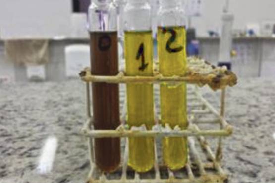 Clarificantes para Xarope e Licor de Refinaria