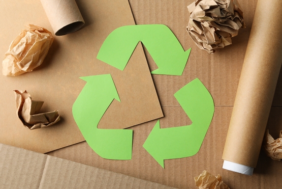 Reciclagem do Papel, um aliado da economia circular